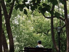 -徐家汇源景区-衡山公园