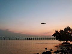 -宝安西湾红树林湿地公园