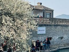 -晓琦农家菜馆·地道农家菜