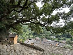 -杨家堂村