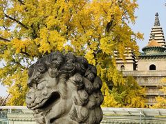 -北京石刻艺术博物馆(五塔寺)