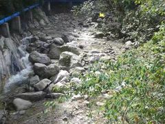 -陕西省红河谷森林公园