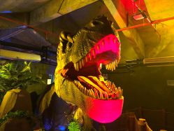 -恐龙探索乐园(磁器口店)