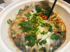 -蔼若春.传承三十年云南菜(金碧公园店)