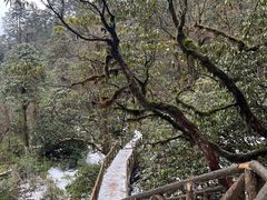 -龙苍沟森林公园