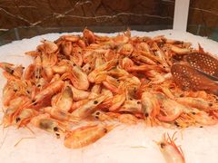 北极虾-汉巴味德(大悦城店)