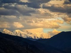 -小志家.野生菌鲜切牦牛肉牛杂火锅