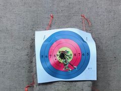 -道顺射箭·团建·骑射(张杨路店)