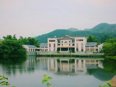 -大屏嶂森林公园