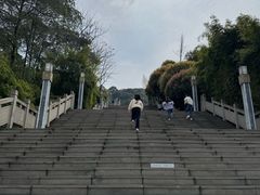 -铁山坪森林公园