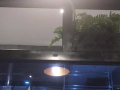 -鑫海汇海鲜烤肉自助(北国商城店)