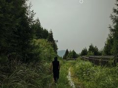 -重庆睡佛山森林公园
