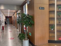 -东书房硬笔·国画·古筝·围棋·软笔·国学(新北校区)