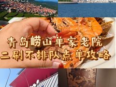 -单家老院·院子里的青岛菜(沙子口店)