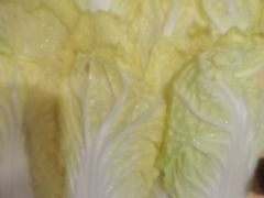 -蝎王府羊蝎子(西直门店)