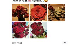 -南法信(地铁站)