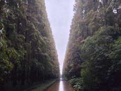 -上海怡沁园度假酒店