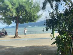 -鹏城人家海鲜酒家·23年老字号(较场尾店)