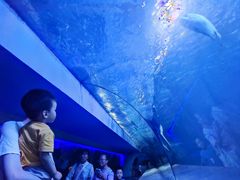 -太平洋海底世界