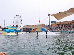 -秦皇岛乐岛海洋王国