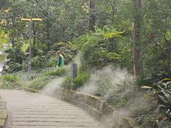 -成都市活水公园