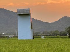 -艾米稻香小镇