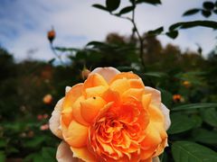 -人民公园(罗湖区)