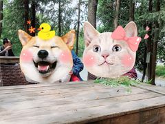 -象山森林公园