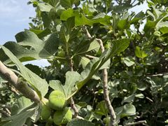 -阿图什天门景区
