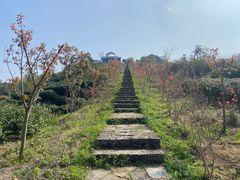 -十九峰景区-倒脱靴