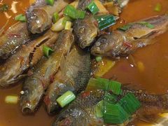 -千岛湖小鱼儿·淳安匠心农家菜