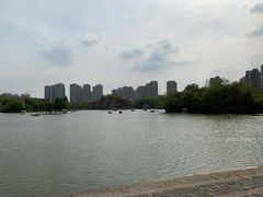 -青枫公园