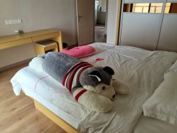 -喜喜·全套房月子会所(罗宾森广场店)