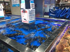 -盒马鲜生(顺义店)