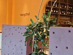 -美泰·Mangothai·清迈云街(天空之城店)
