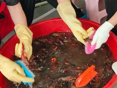 -霸王虾·麻辣小龙虾(清水河公园店)