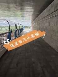 -重庆安琪儿妇产医院-妇幼保健联盟医院