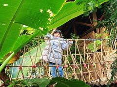 -呀路古热带植物园