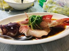 清蒸东星斑-强记海鲜·大排档(蛇口新街店)