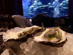 -迪拜帆船酒店海底餐厅