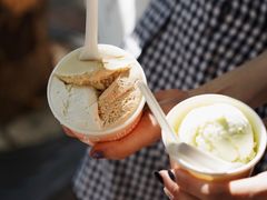 -Dip in Gelato(富民路店)