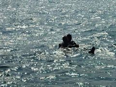 -亚龙湾海底世界