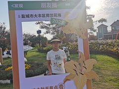 -荷兰花海