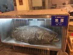-御唐府海珊瑚主题餐厅
