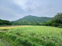 -八卦田遗址公园