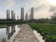-前关湿地公园