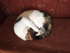 -东南悬空寺方广岩