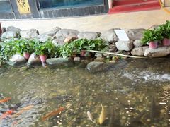 -顺峰·粤菜海鲜·早茶自助(阜成店)