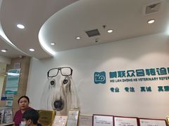 -美联众合动物医院·24h转诊中心
