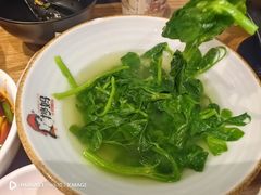 -抄妈抄手铺(金沙店)